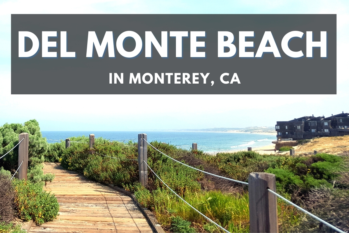 Del Monte Beach in Monterey, California