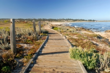 Boardwalk next to the beach