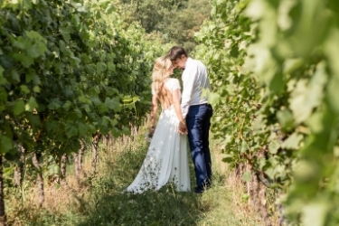 Couples in a vineyard