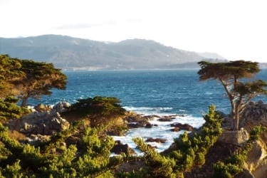 17-Mile Drive View