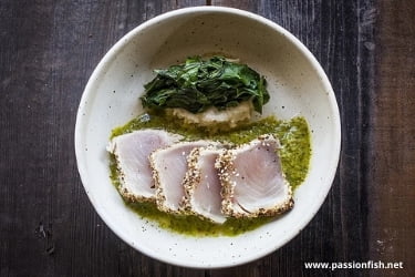 Albacore Tuna from Passionfish