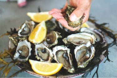 Fresh oysters with lemon