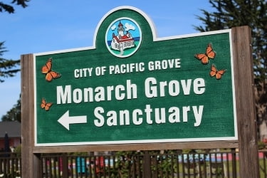 Monarch Grove Sanctuary Sign