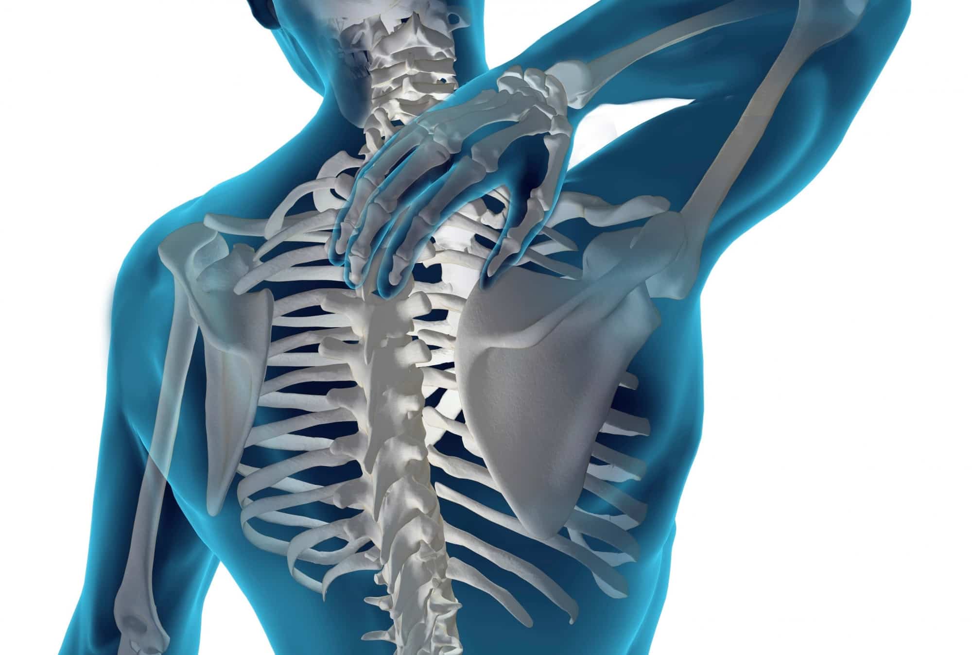 Bradley Chiropractic Clinic Dr. Kline Dr. Adams