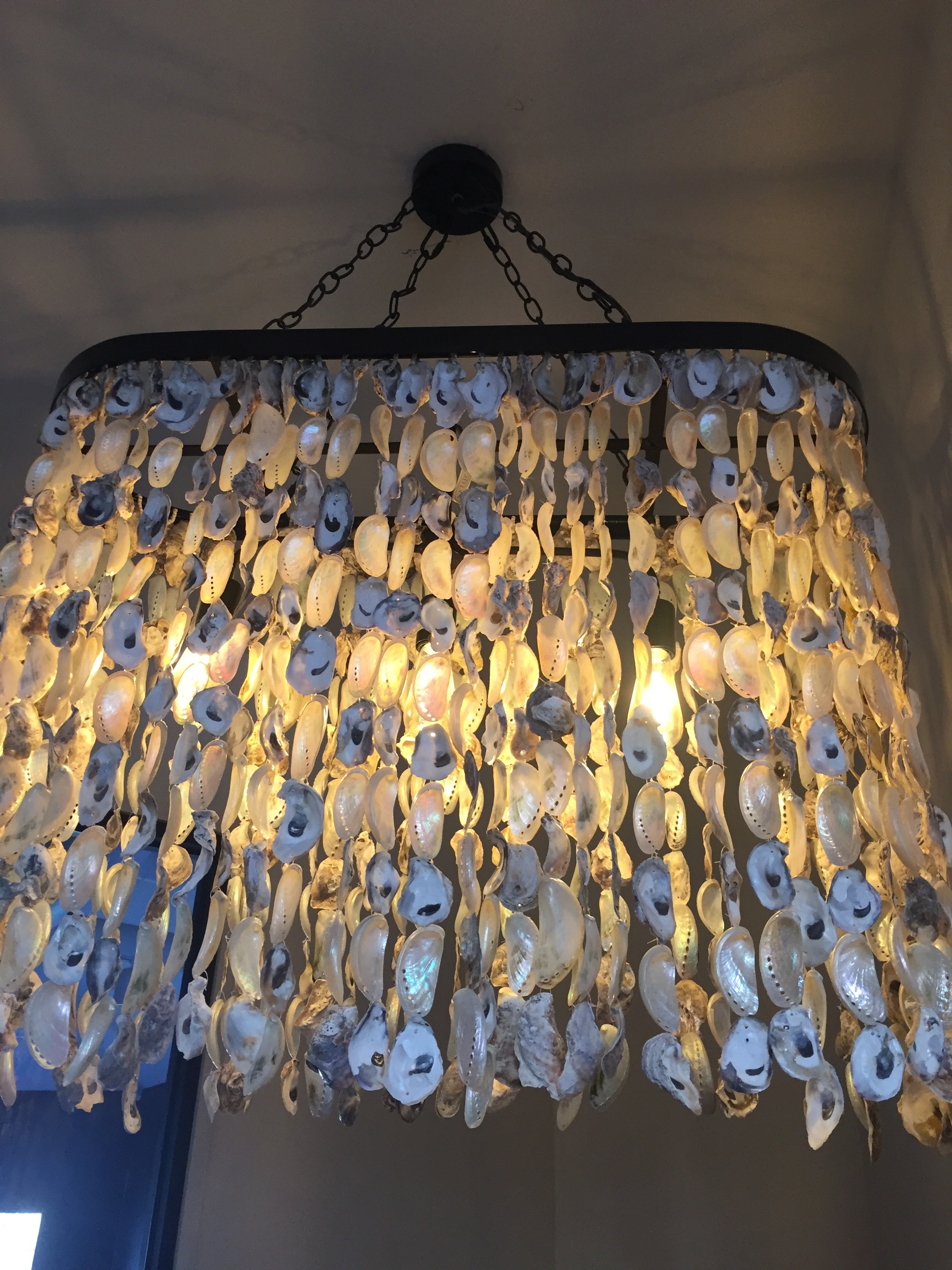 seashell light shade at Saltine