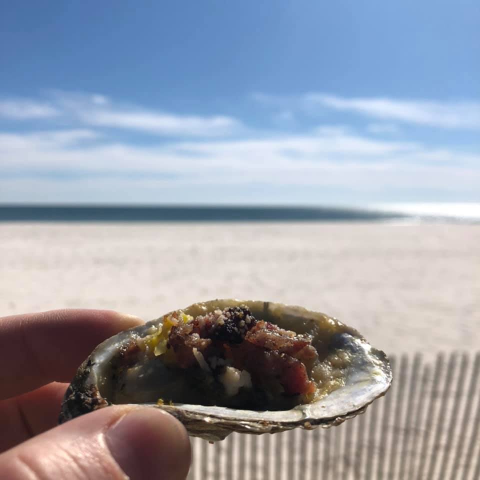 oysters at the beach