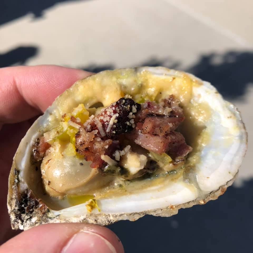oyster close up