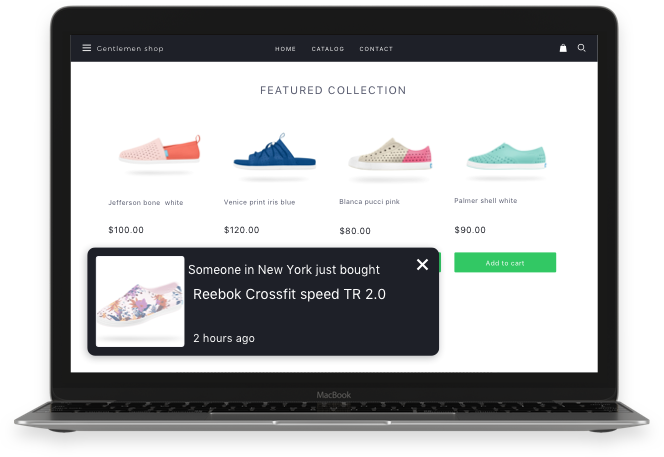 Recent Sales Popup Notifications