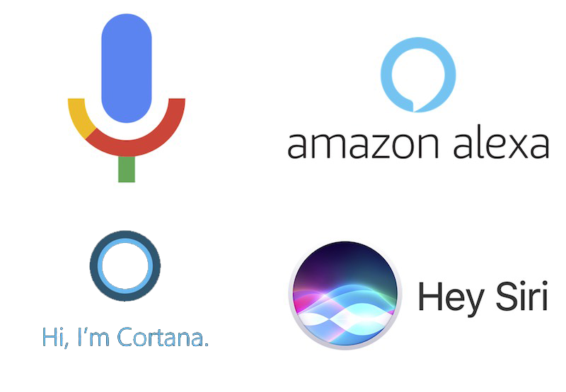 Voice Search 2021 Trend