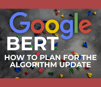 Google BERT