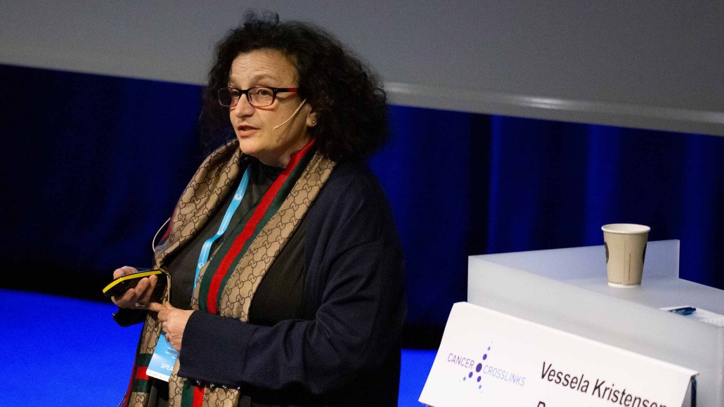 Vessela Kristensen, Professor, Department of Cancer Genetics, Institute for Cancer Research, Oslo University Hospital