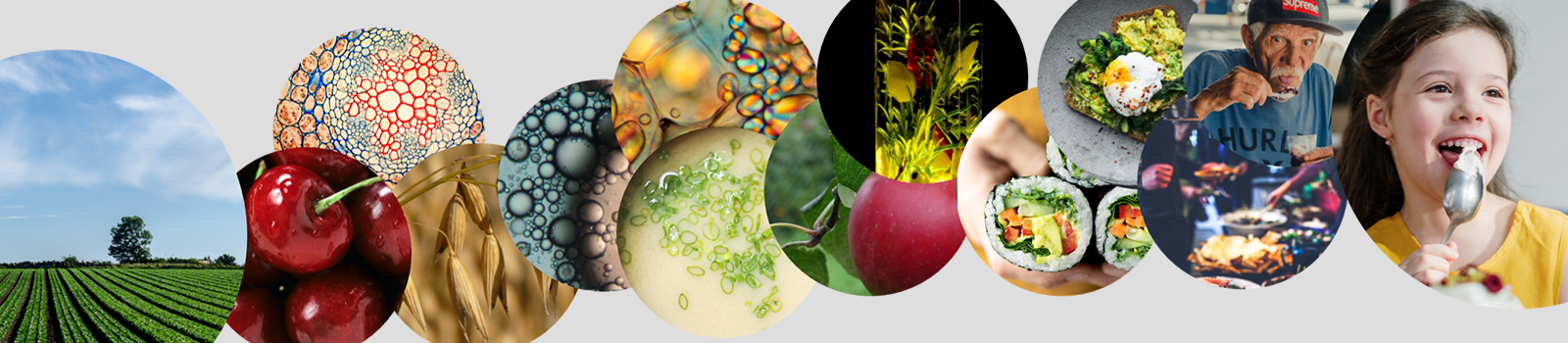 New food focused theme for LINXS collaboration