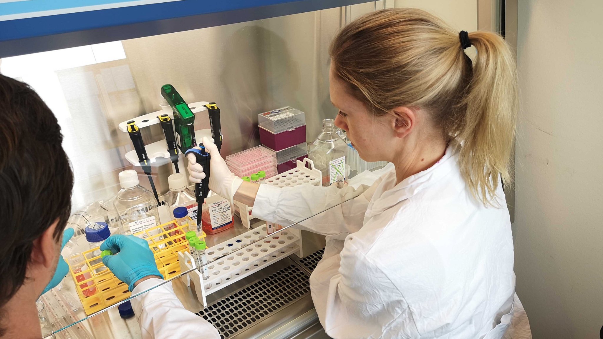 The Research Oncology team at Vaccibody are developing novel immunotherapies and vaccines against cancer.