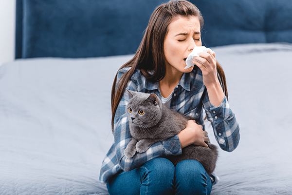 Allergens can appear from many places