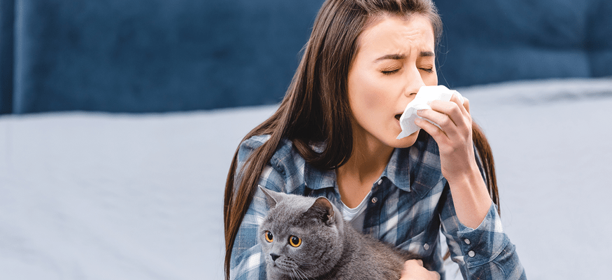 Allergens can appear from many places