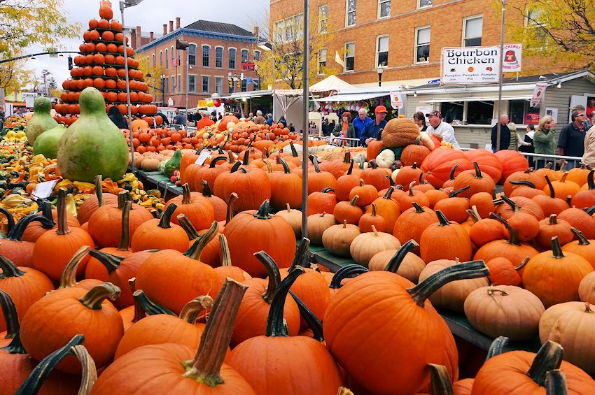 large amount of pumpkins at the circleville pumpkin show