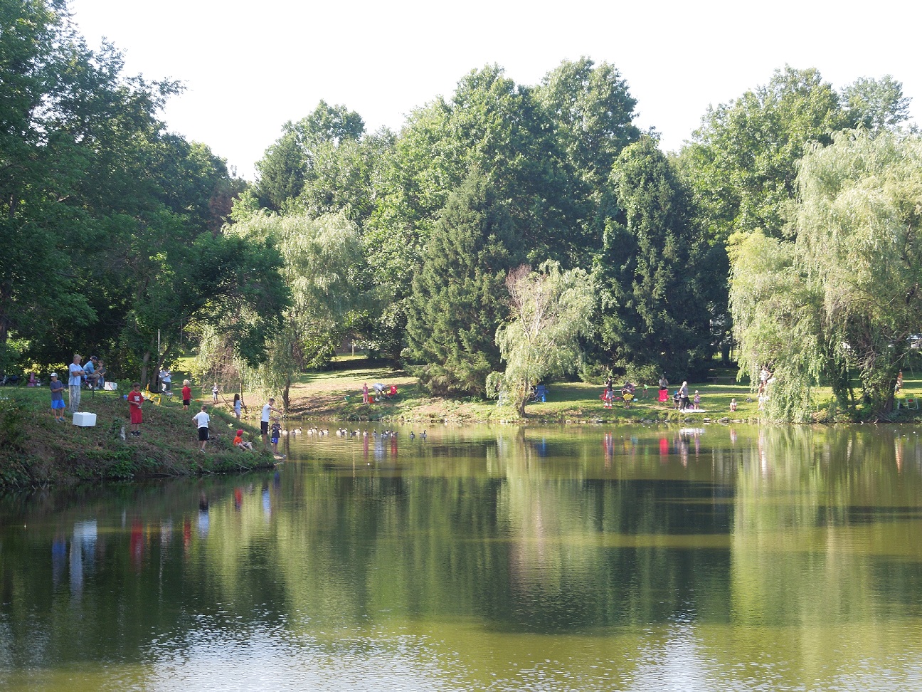 sycamore creek park pond