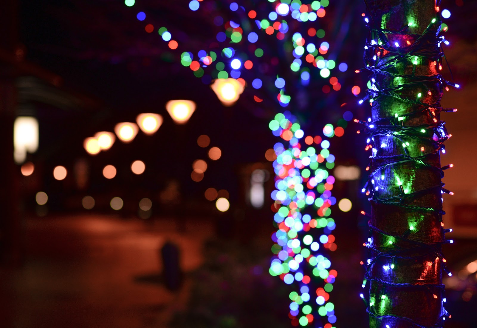 Beautiful Outdoor Holiday Lights
