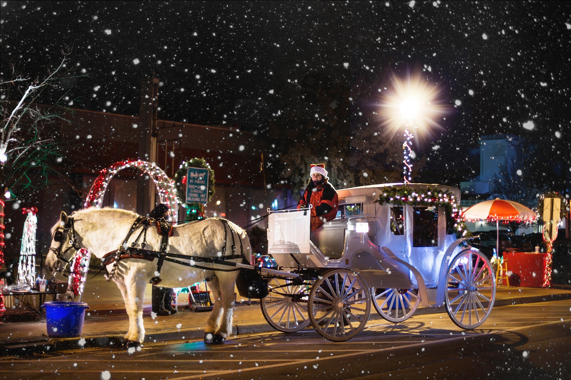 woman riding holiday carriage in the snow