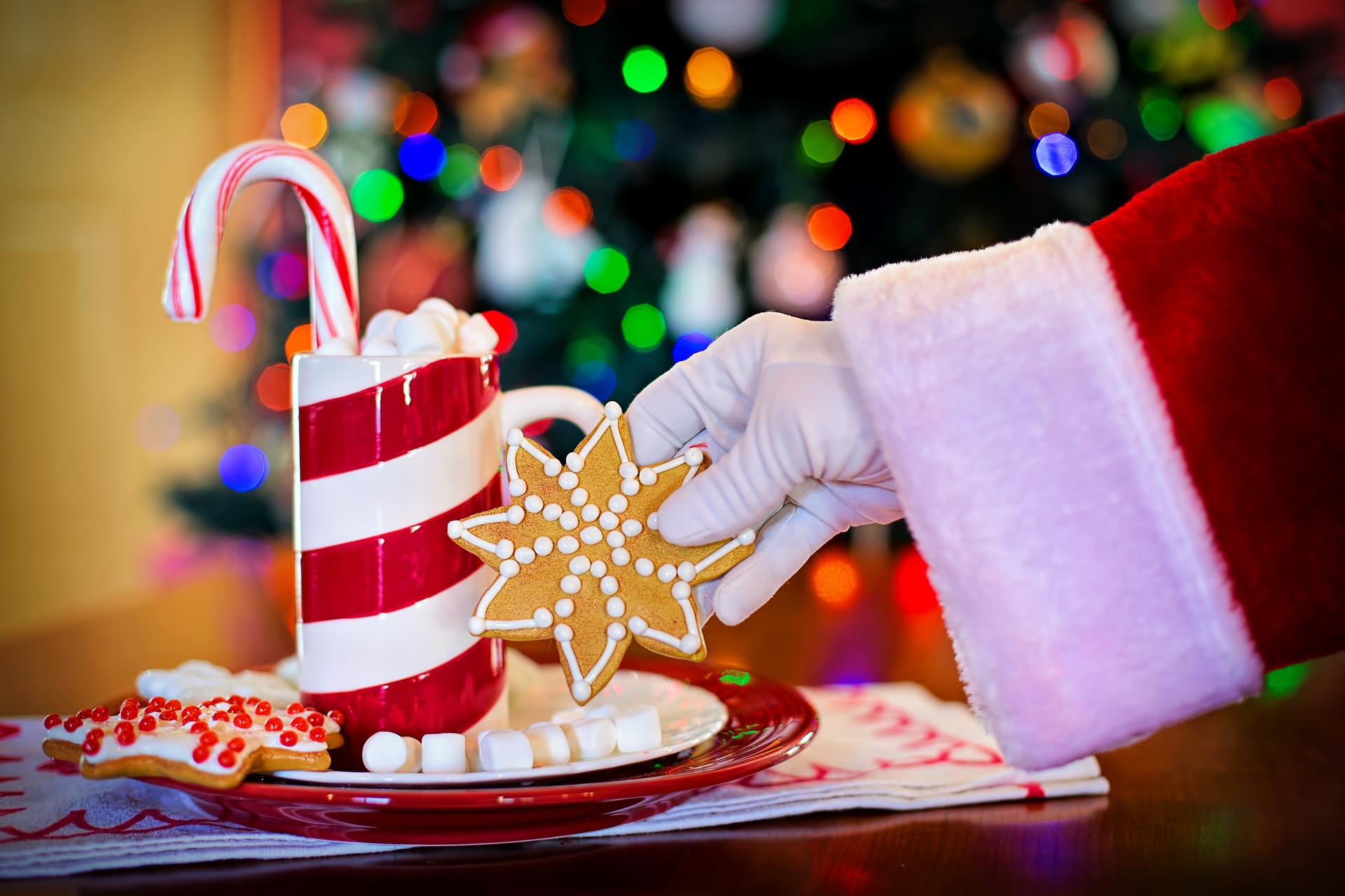 santa's arm holding cookies & hot chocolate