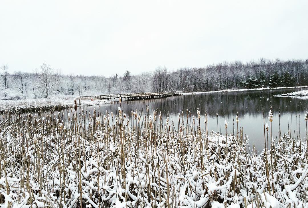 Hinckley lake in the winter snow