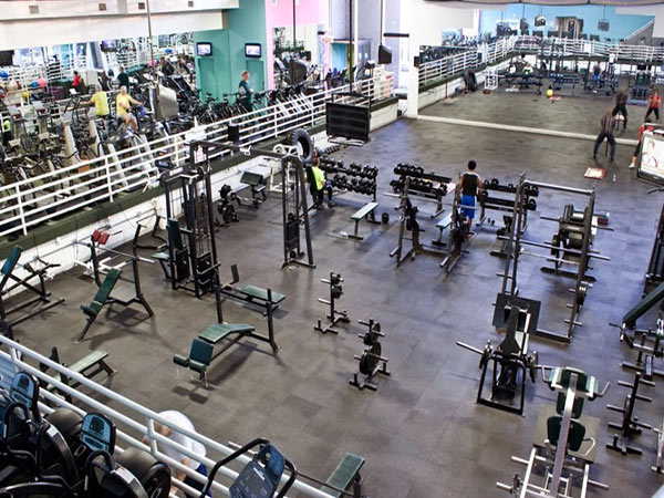 Interior of Wyandotte Athletic club, Free weights, Cardio equipment