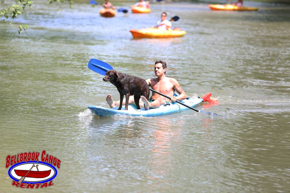 Man in kayak with lab dog