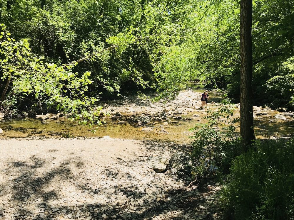 Magee Park Creek