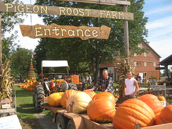 Image result for Pigeon Roost Farm!