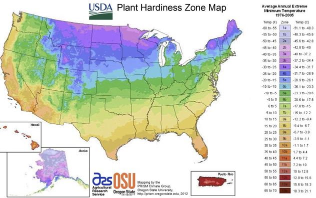 a map of USDA plant hardiness zones showing that the northern US experiences cold