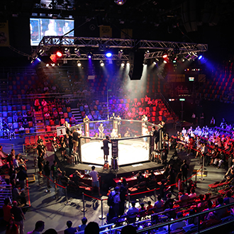 Event Lighting System