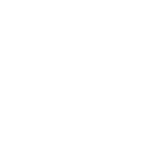 Visual Display & Live Feed