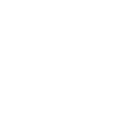Live Video Streaming