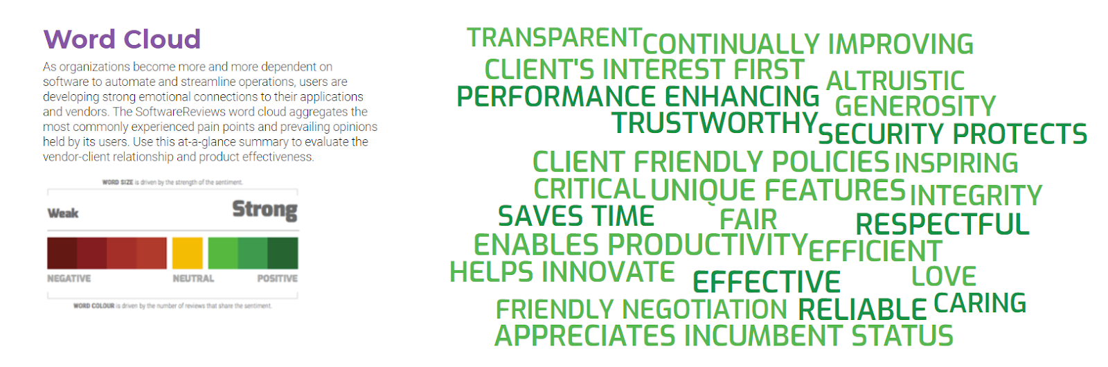 A word cloud example from a SoftwareReviews listing
