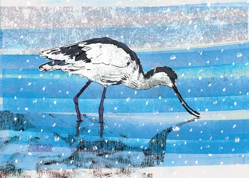 RSPB Christmas Card