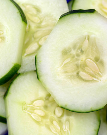 Cucumber