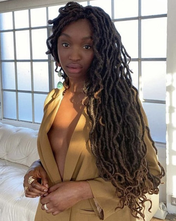 Faux Locs & Goddess Locs Ideas