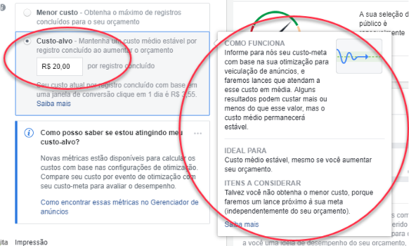 Com o custo médio, o Facebook tenta manter o seu custo dentro do valor definido, podendo às vezes oscilar para mais ou para menos. O valor que você define é, na verdade, a média dos lances.