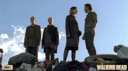 Seriado the walking dead