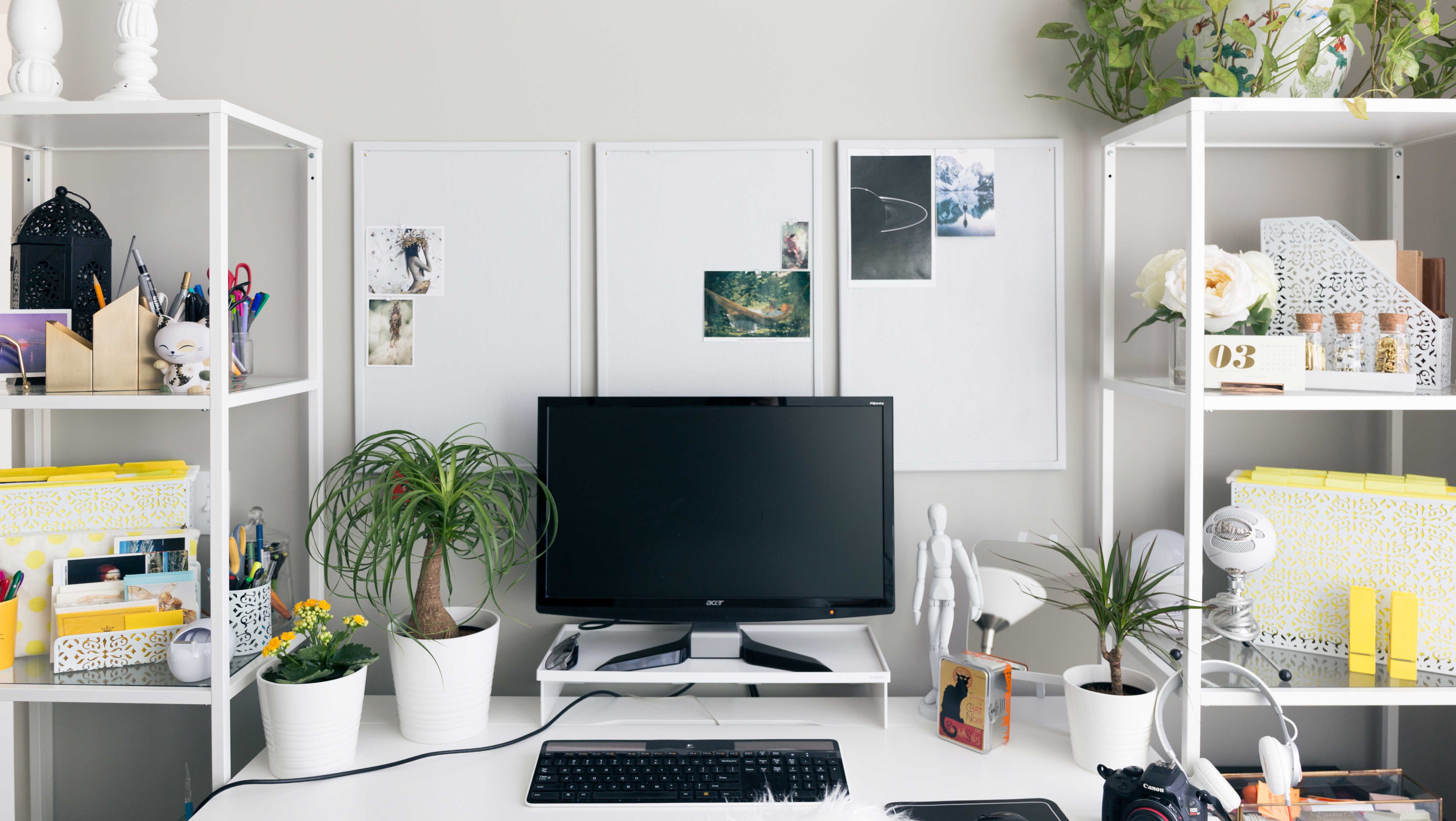Escritório criativo com plantas de decoração.