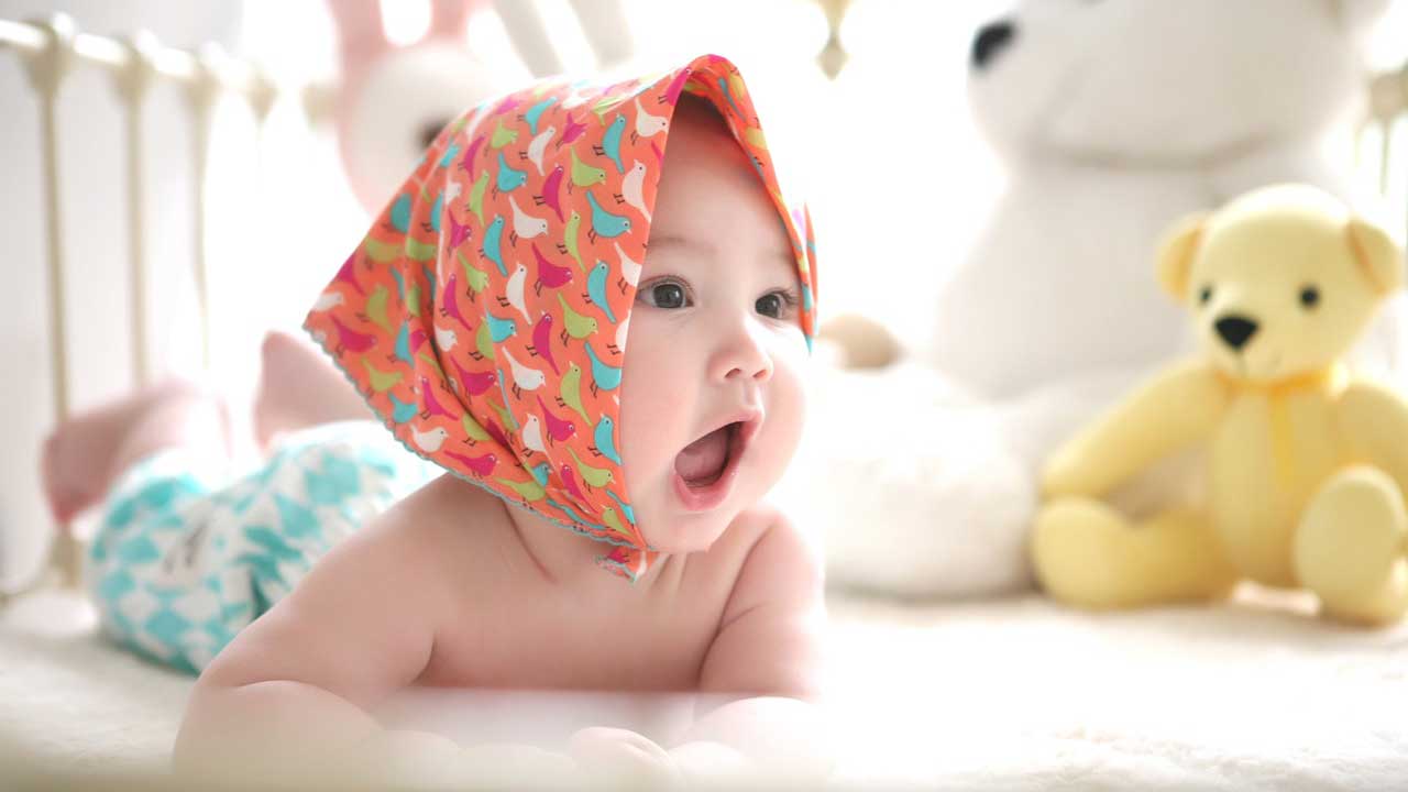 bebe engatinhando com ursos