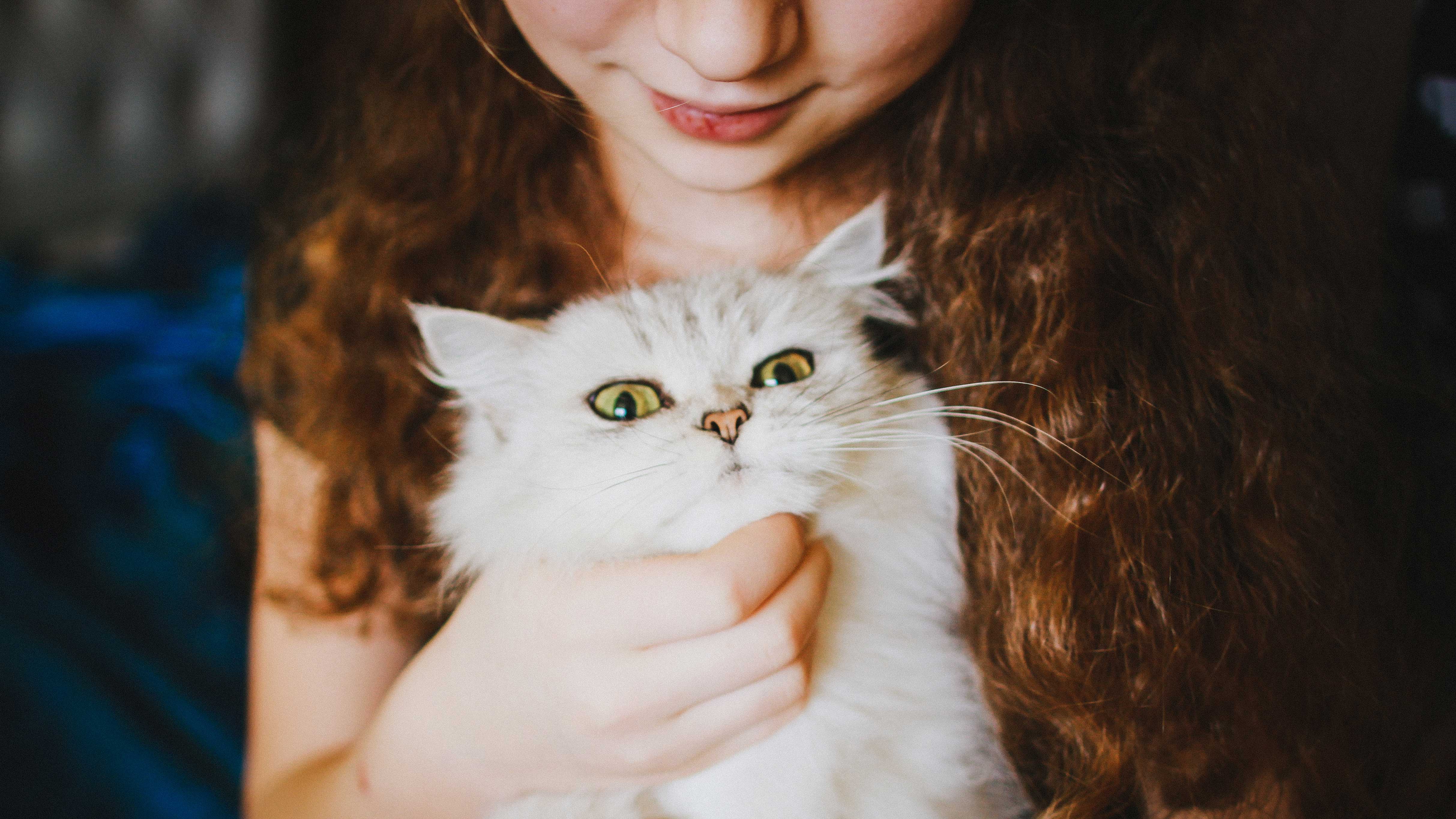 Menina ruiva segurando um gato branco e sorrindo.