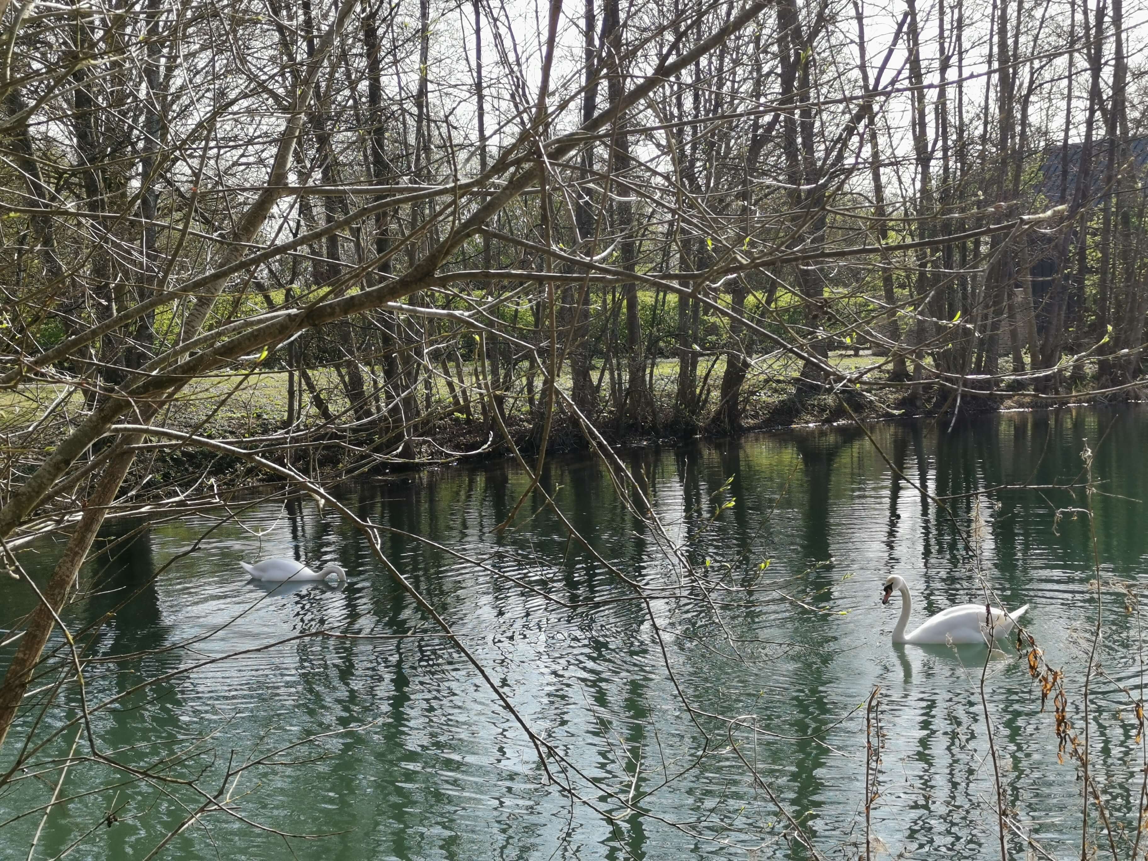 The Pond Lodge Little Horseshoe Lake