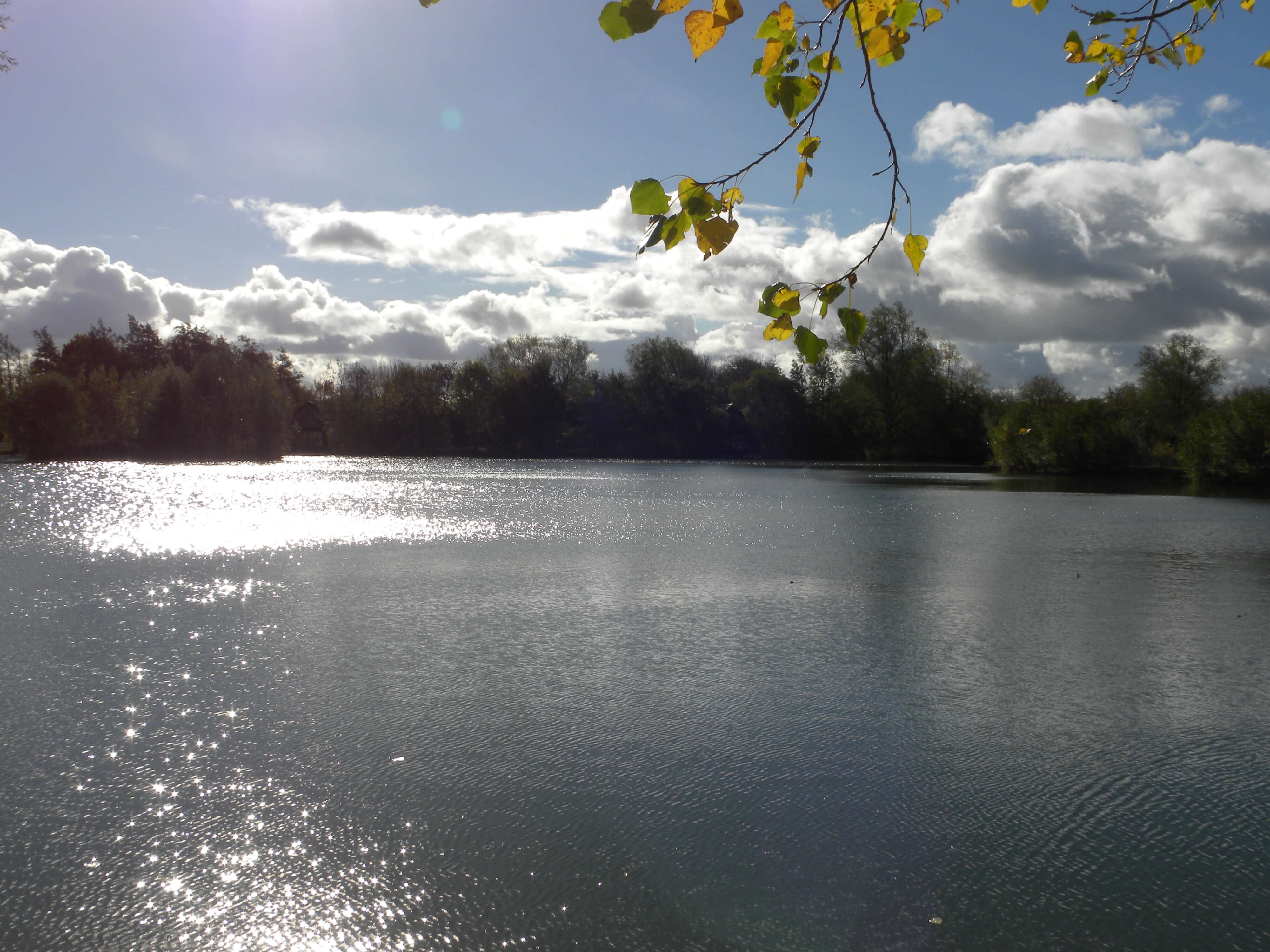 Willow Lodge Little Horseshoe Lake