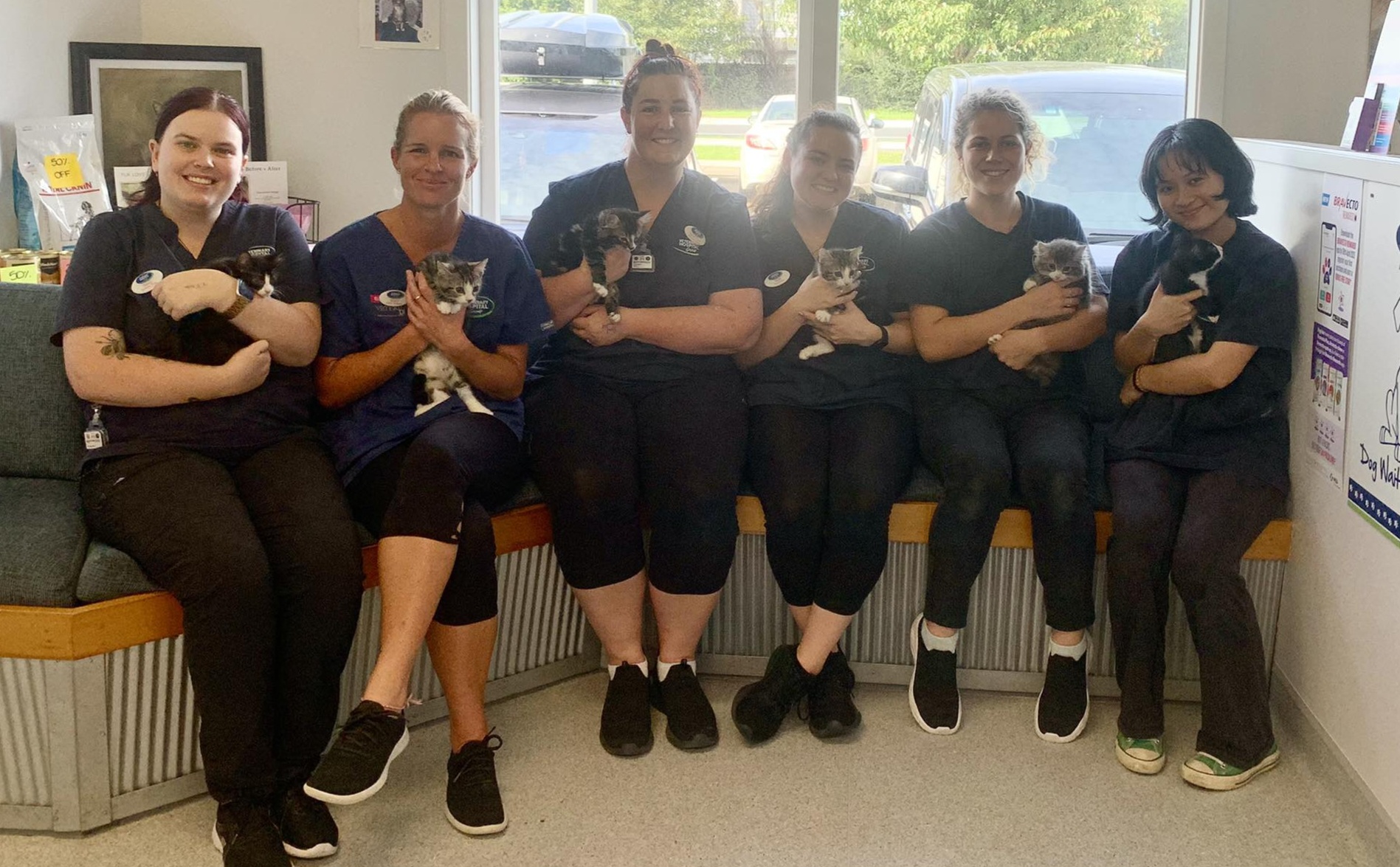 Albany Veterinary Hospital Veterinary Hospital Group