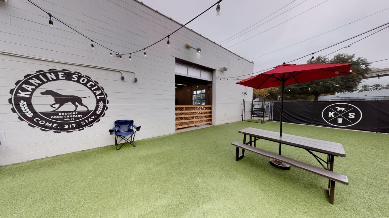 Jacksonville Indoor Dog Park Membership Outdoor Dog Park