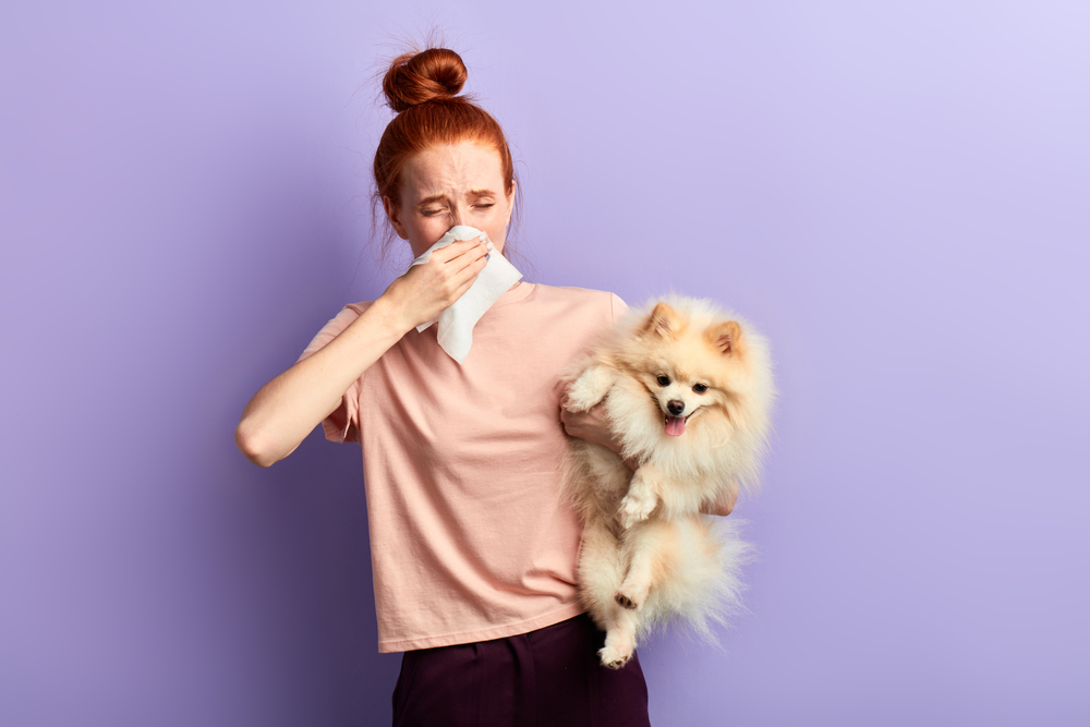 Helpful Tips for Boarding a Dog with Allergies