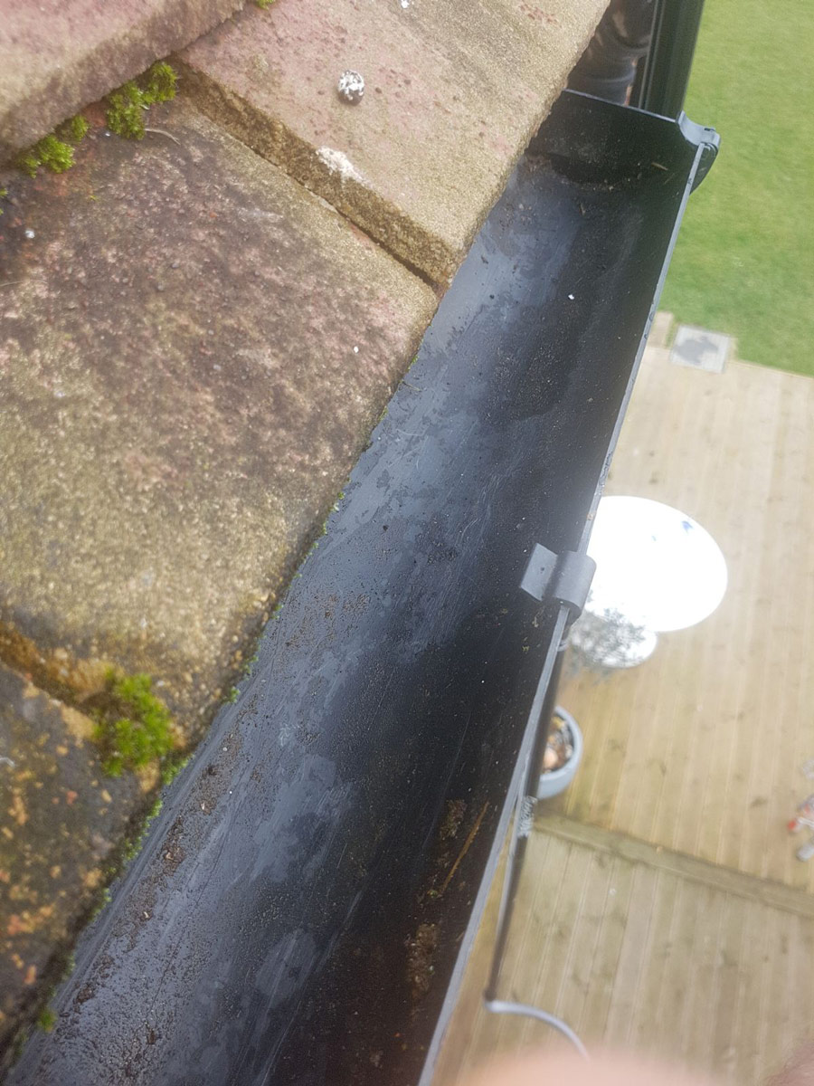 Force 10 Roof Cleaning Lewes Moss Removal Lewes