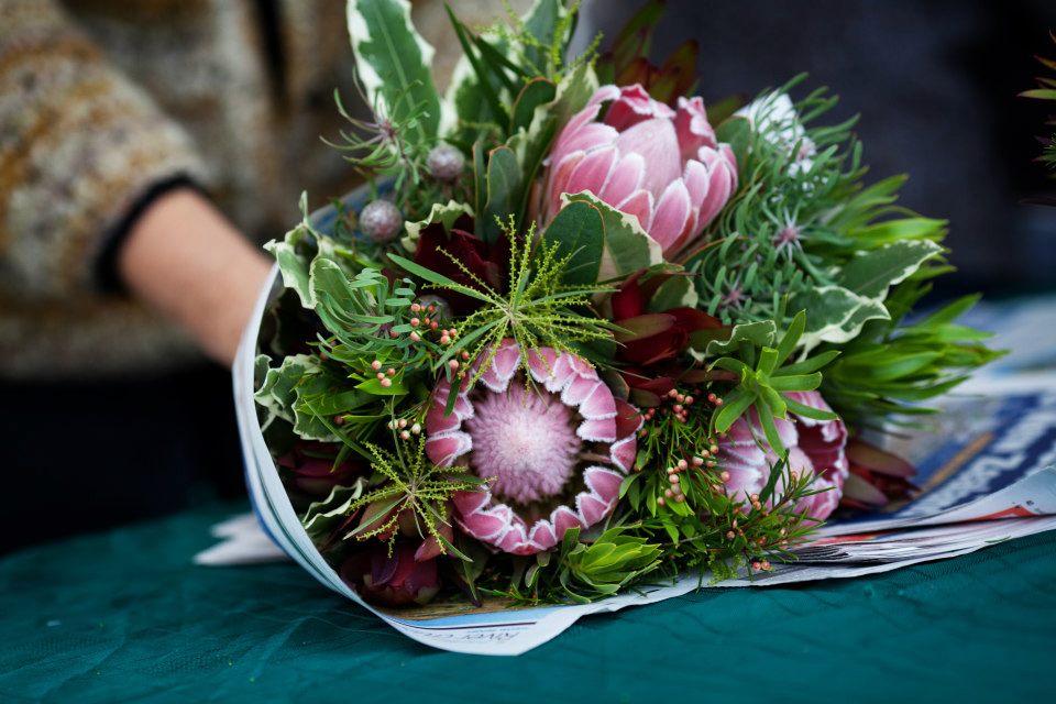 Meet The Maker : Peninsula Wild Flower