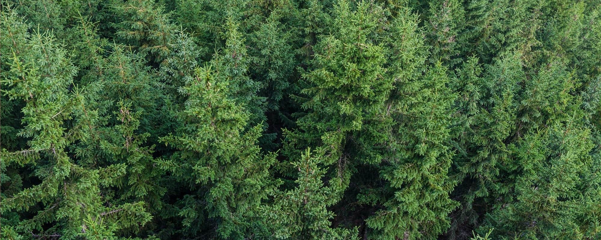 What Is Continuum Continuum Teachers Association